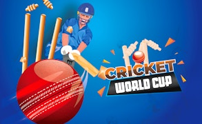 World Cricket Champ game cover