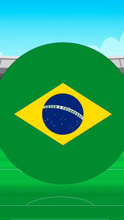 World Cup Flag Match