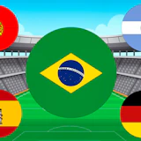 World Cup Flag Match