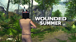 Wounded Summer