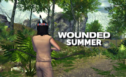 Wounded Summer