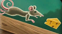 You Have To Eat Cheese