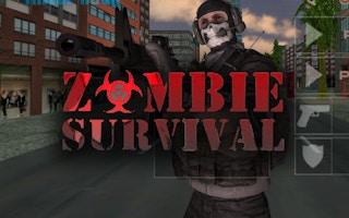 Zombie Survival Game game cover