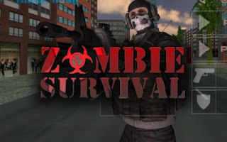 Zombie Survival Game game cover