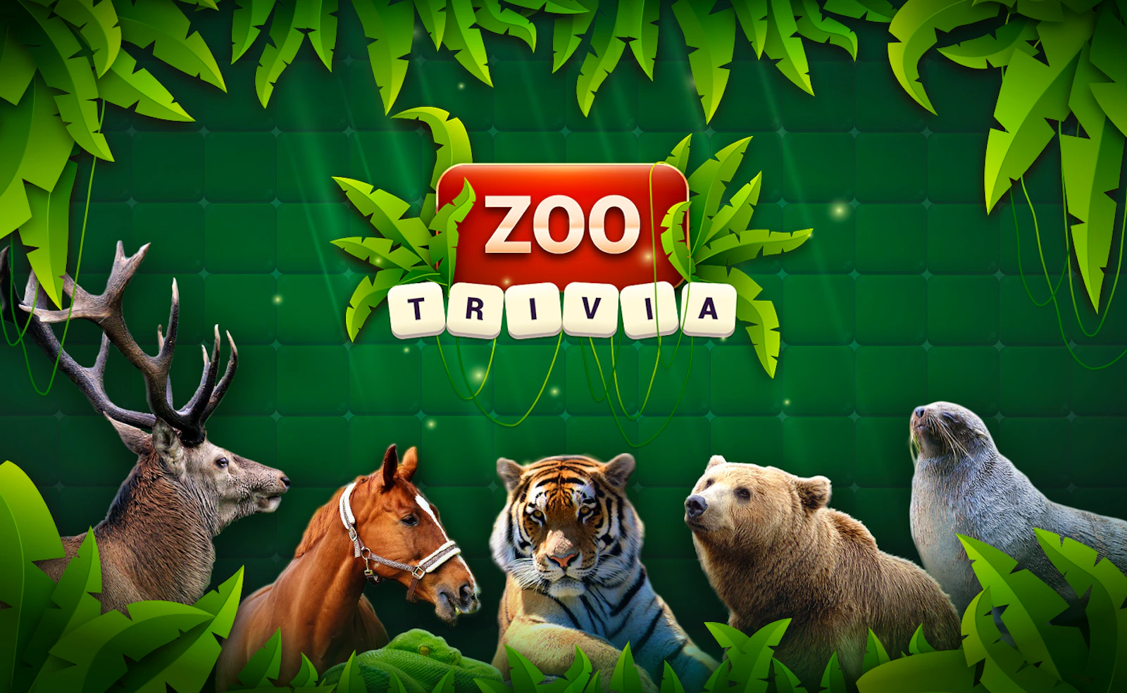 Zoo Trivia — free online trivia game on Glaze Games