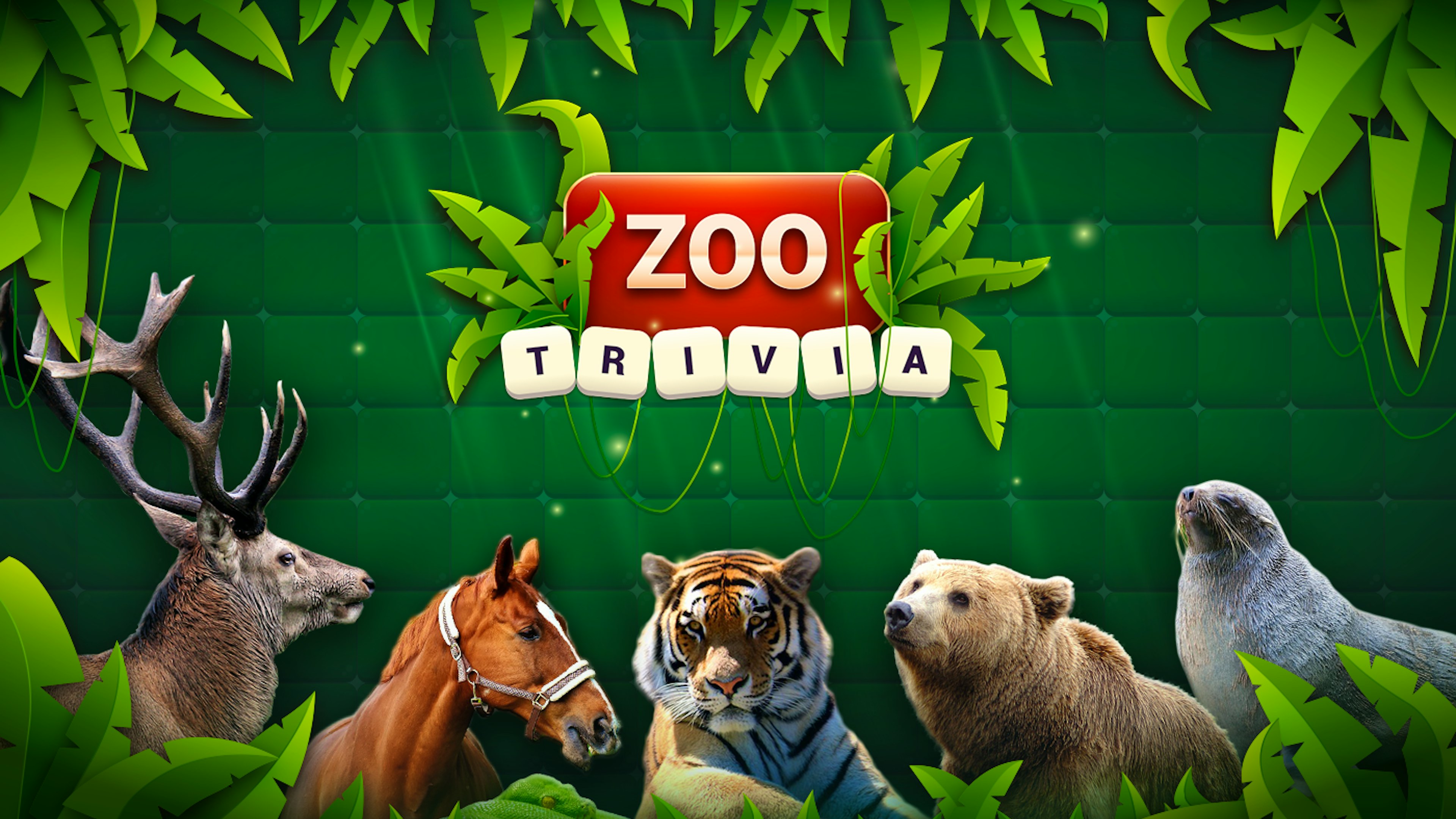 Zoo Trivia
