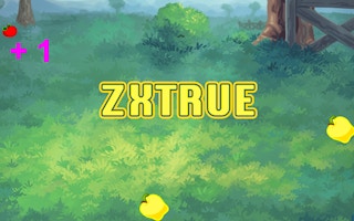 Zxtrue